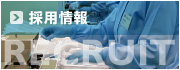 採用情報
