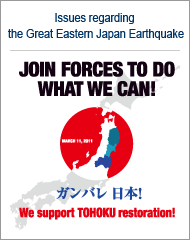 Issues regarding  the Great Eastern Japan Earthquake