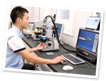 Sample production and shipment
