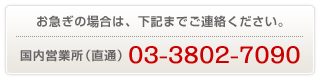 国内営業所（直通）：03-3802-7090