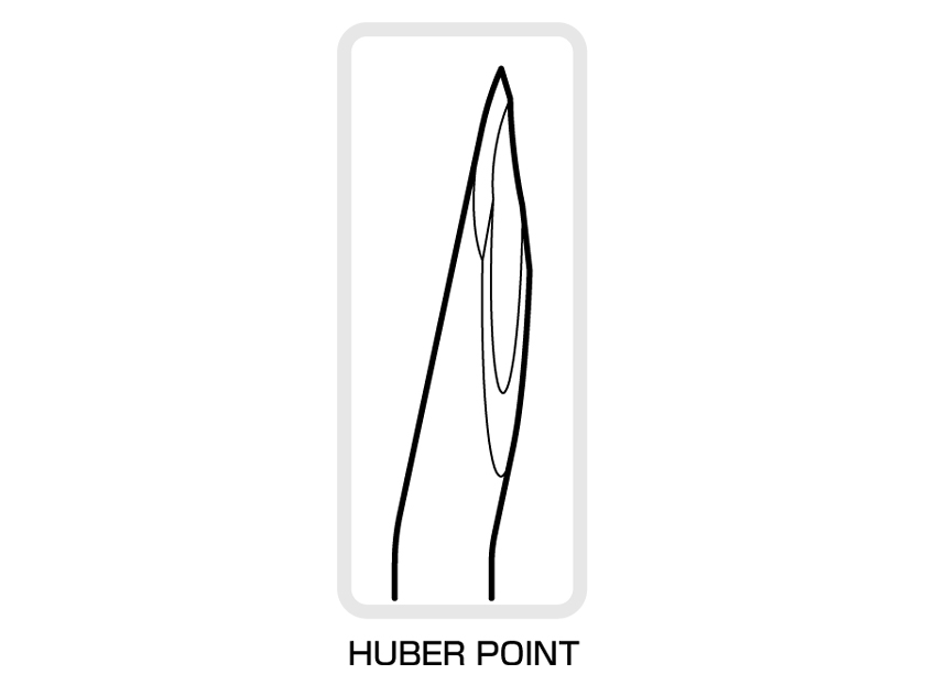HUBER POINT
